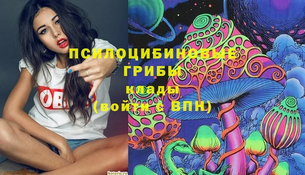 герыч Протвино