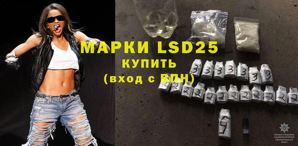PSILOCYBIN Алзамай