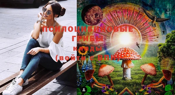 PSILOCYBIN Алзамай