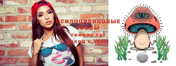 PSILOCYBIN Алзамай