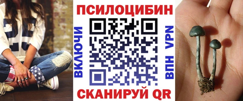 Псилоцибиновые грибы Psilocybine cubensis  цены   Ликино-Дулёво 